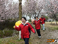 图集 | 荆州春色满城 玉兰、梅花竞相盛放