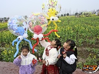 图集 | 洪湖油菜花开带火乡村游