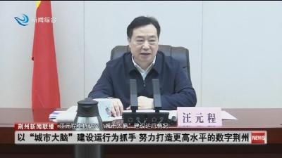 汪元程主持研究 “城市大脑” 建设运行情况