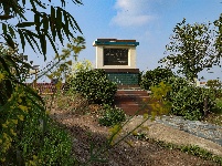 荆州：春到阴湘城