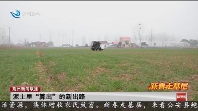 泥土里“算出”的新出路