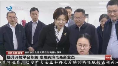 省政协副主席党蓁在荆调研