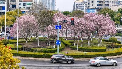 降雨降温！荆州将迎新一轮强冷空气