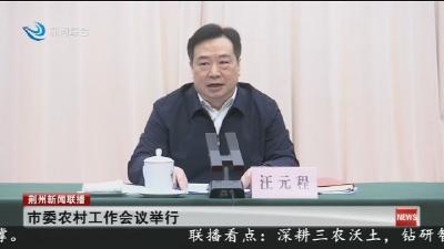 市委农村工作会议举行