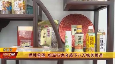 播种希望 松滋万家乡栽下八万株苦橙苗