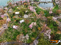 “花漾八岭山，打卡春天里”浅山樱花草坪音乐会引爆乡村游