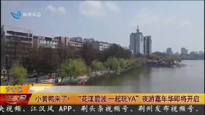 小黄鸭来了!“花漾碧波一起玩YA”夜游嘉年华即将开启