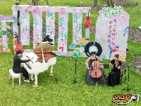 “花漾八岭山，打卡春天里”浅山樱花草坪音乐会引爆乡村游