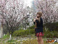 图集 | 荆州春色满城 玉兰、梅花竞相盛放