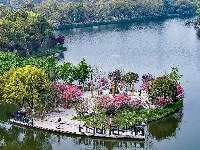 图集 | 碧水繁花相映 荆州三国公园春意浓