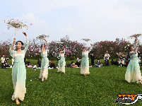 “花漾八岭山，打卡春天里”浅山樱花草坪音乐会引爆乡村游