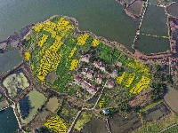 荆州：春到阴湘城