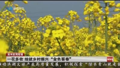一花多收   绘就乡村振兴  “金色答卷”
