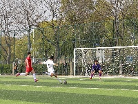 楚韵湘风同场竞技 足球为媒共谱华章