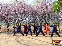 图集 | 荆襄河湿地公园春花烂漫 踏春赏景正当时