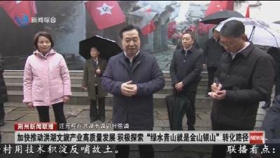 市委书记汪元程在洪湖市调研