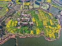 荆州：春到阴湘城