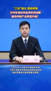 荆州市沙市区人民政府副区长 向楠：将科创研发平台打造成汇聚创新要素的“引力场”和赋能产业升级的“助推器”