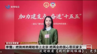 李霞 :  把荆州的期盼带上北京   把两会的信心带回家乡