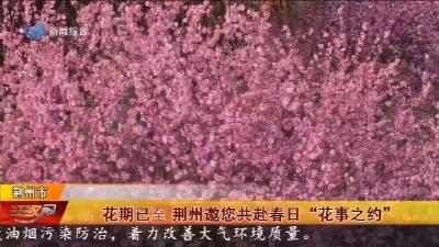花期已至 荆州邀您共赴春日“花事之约”