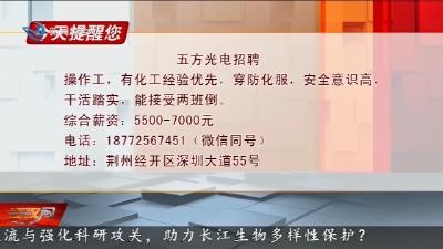 今天提醒您      2026-03-31