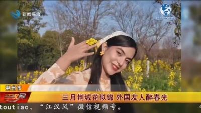 三月荆城花似锦    外国友人醉春光