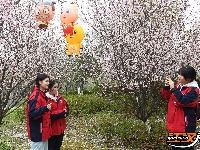 图集 | 荆州春色满城 玉兰、梅花竞相盛放