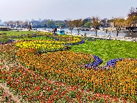 绝美花海！25万株郁金香扮靓金凤广场
