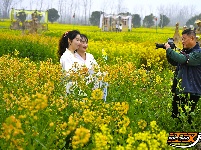 图集 | 洪湖油菜花开带火乡村游