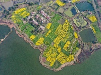 荆州：春到阴湘城