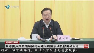 全市国资国企领域突出问题专项整治动员部署会召开