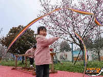 江陵六合垸：樱花谷游园会，一场春日里的浪漫奔赴