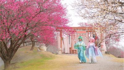 无人机、表白墙……荆州古城周末专门为她开场！