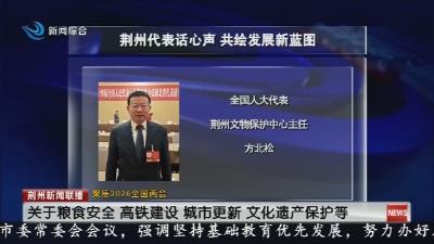 荆州代表话心声   共绘发展新蓝图