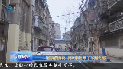 流浪猫扰民 居民楼里来了不速之客