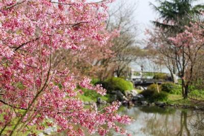 在荆州，允许你“花心”🥰🥰🥰