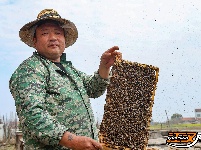 逐花之路：养蜂夫妻的“甜蜜事业”