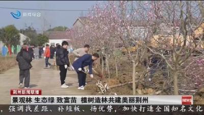 景观林 生态绿 致富苗 植树造林共建美丽荆州