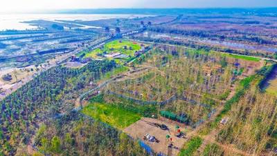 松滋：他心中的“浪浪山”，诗意而温情