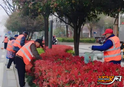 精保洁 优秩序 护绿植 沙市城管三项行动全力护航“荆马