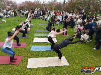 “花漾八岭山，打卡春天里”浅山樱花草坪音乐会引爆乡村游