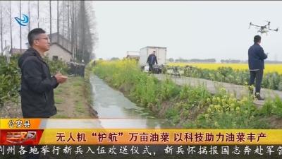 无人机 “护航” 万亩油菜   以科技助力油菜丰产