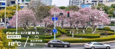 早安·荆州丨本周末，荆州古城有新花样