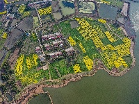 荆州：春到阴湘城