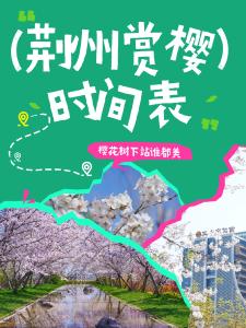 荆州樱花盛放！收藏这份花期表，赴一场古城粉色之约