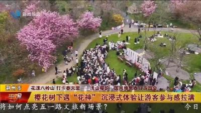 樱花树下遇“花神” 沉浸式体验让游客参与感拉满