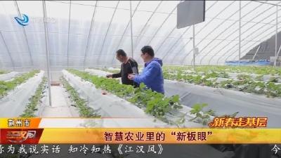 智慧农业里的  “新板眼”