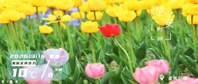 早安·荆州丨荆州将新建一城市主干道