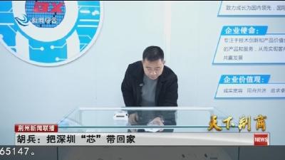 胡兵 :  把深圳 “芯” 带回家