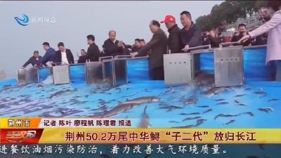荆州50.2万尾中华鲟 “子二代” 放归长江